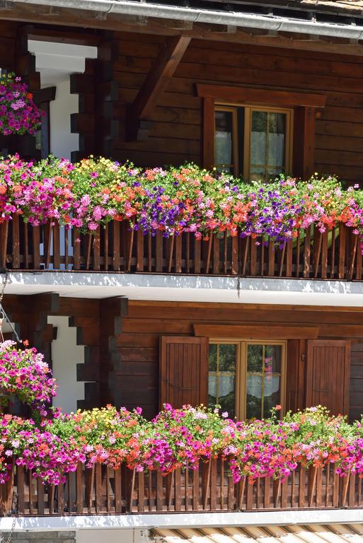 Hotel Les Melezes Haudères Exteriör bild